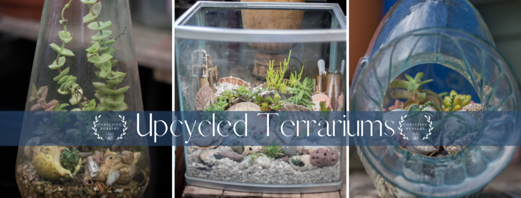 DIY terrarium glassware upcycling