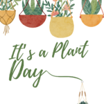 It's a Plant Day +£2.99
