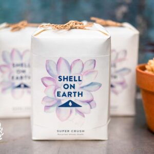 SHELL ON EARTH - Super Crushed Welk Shell for Succulents - 1KG BAG