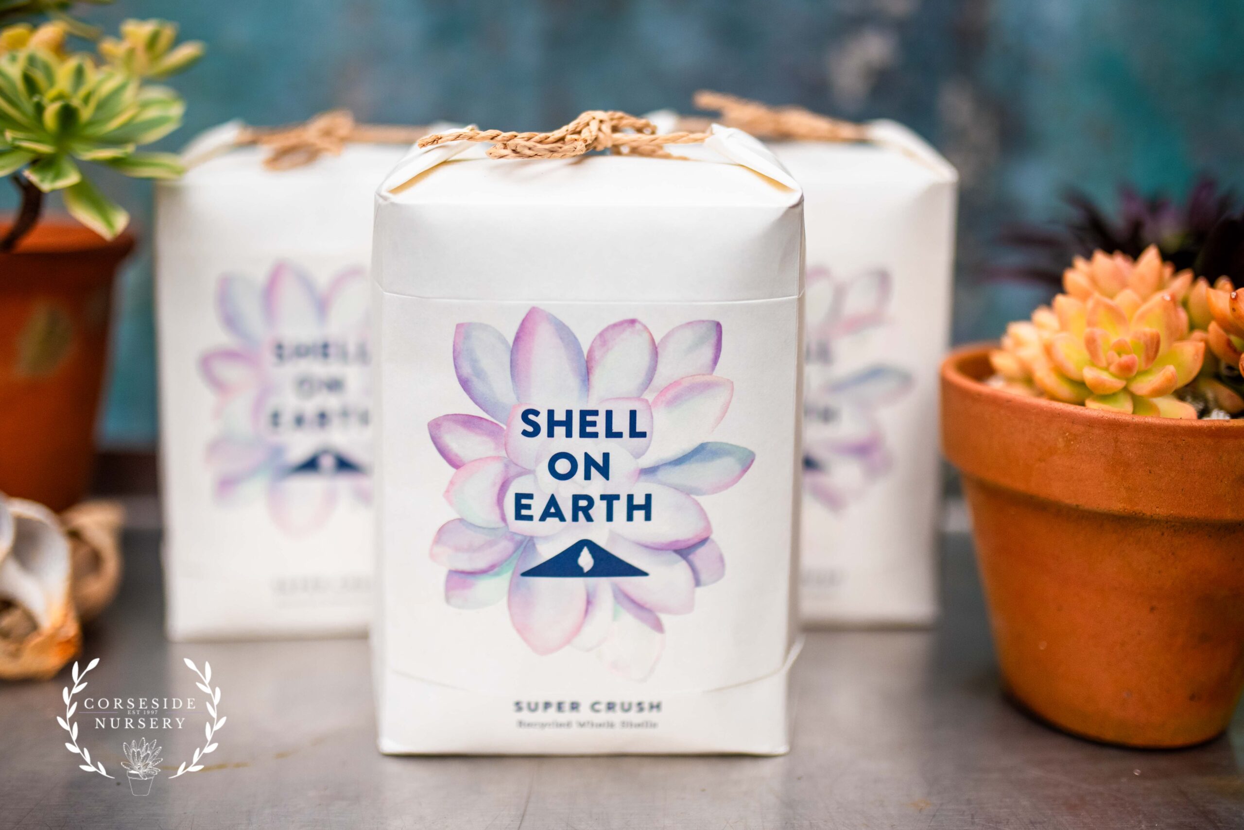 SHELL ON EARTH - Super Crushed Welk Shell for Succulents - 1KG BAG
